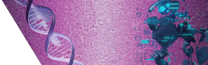 藤井　誠志　病理　分子病理　横浜市立大学