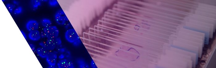 藤井　誠志　病理　分子病理　横浜市立大学