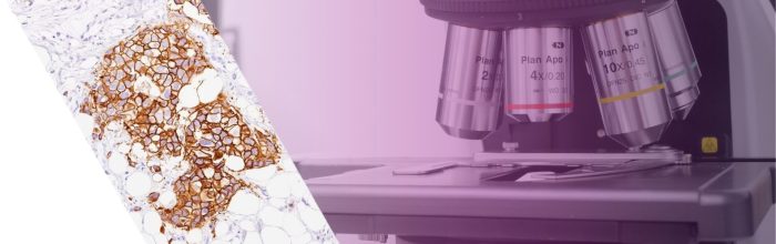 藤井　誠志　病分子病理　横浜市立大学