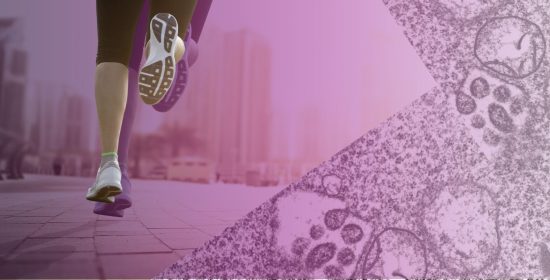 藤井　誠志　病理　分子病理　横浜市立大学